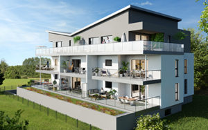 matter-sa-image-hirondelles-village-neuf